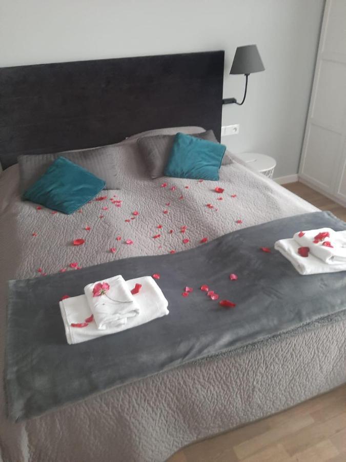 Apartamenty Koci Ogon Torun Exterior foto