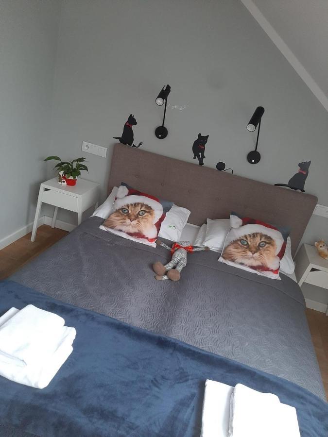 Apartamenty Koci Ogon Torun Exterior foto