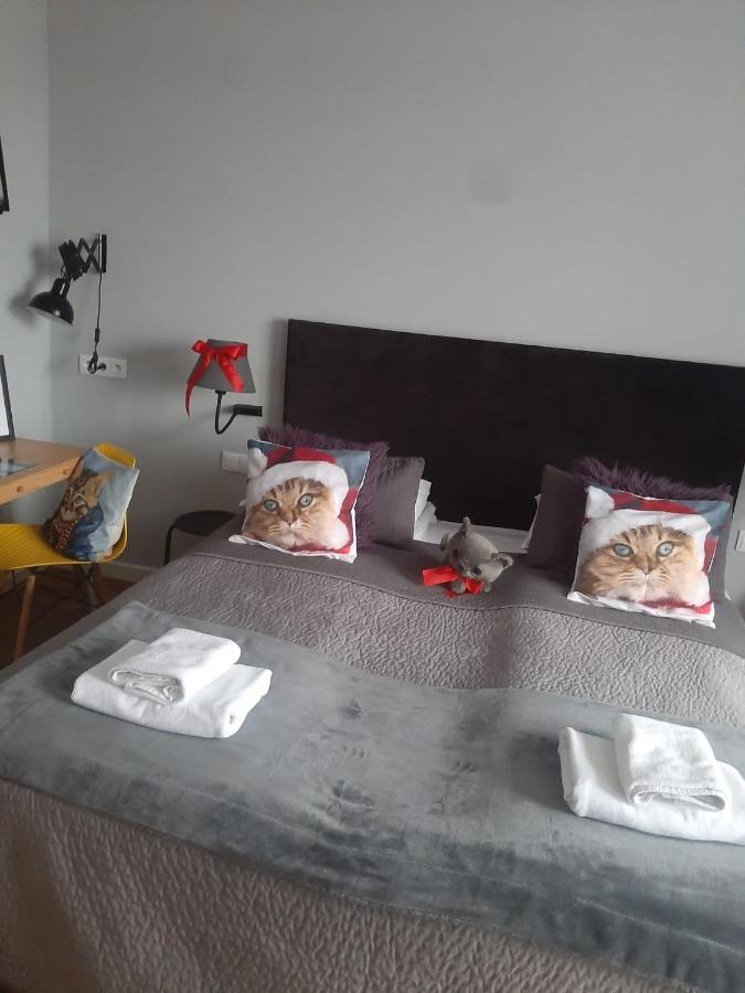 Apartamenty Koci Ogon Torun Exterior foto